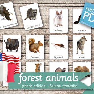 FOREST ANIMALS FRENCH Edition • 22 French and 22 English Editable Montessori Cards • Flash Cards Nomenclature Pdf Printable preschool