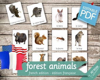 FOREST ANIMALS FRENCH Edition • 22 French and 22 English Editable Montessori Cards • Flash Cards Nomenclature Pdf Printable preschool