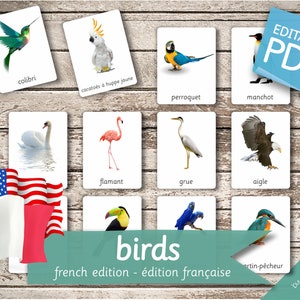 BIRDS (real pictures) FRENCH Edition • 30 French and 30 English Editable Montessori Cards • Flash Cards Nomenclature PDF Printable preschool