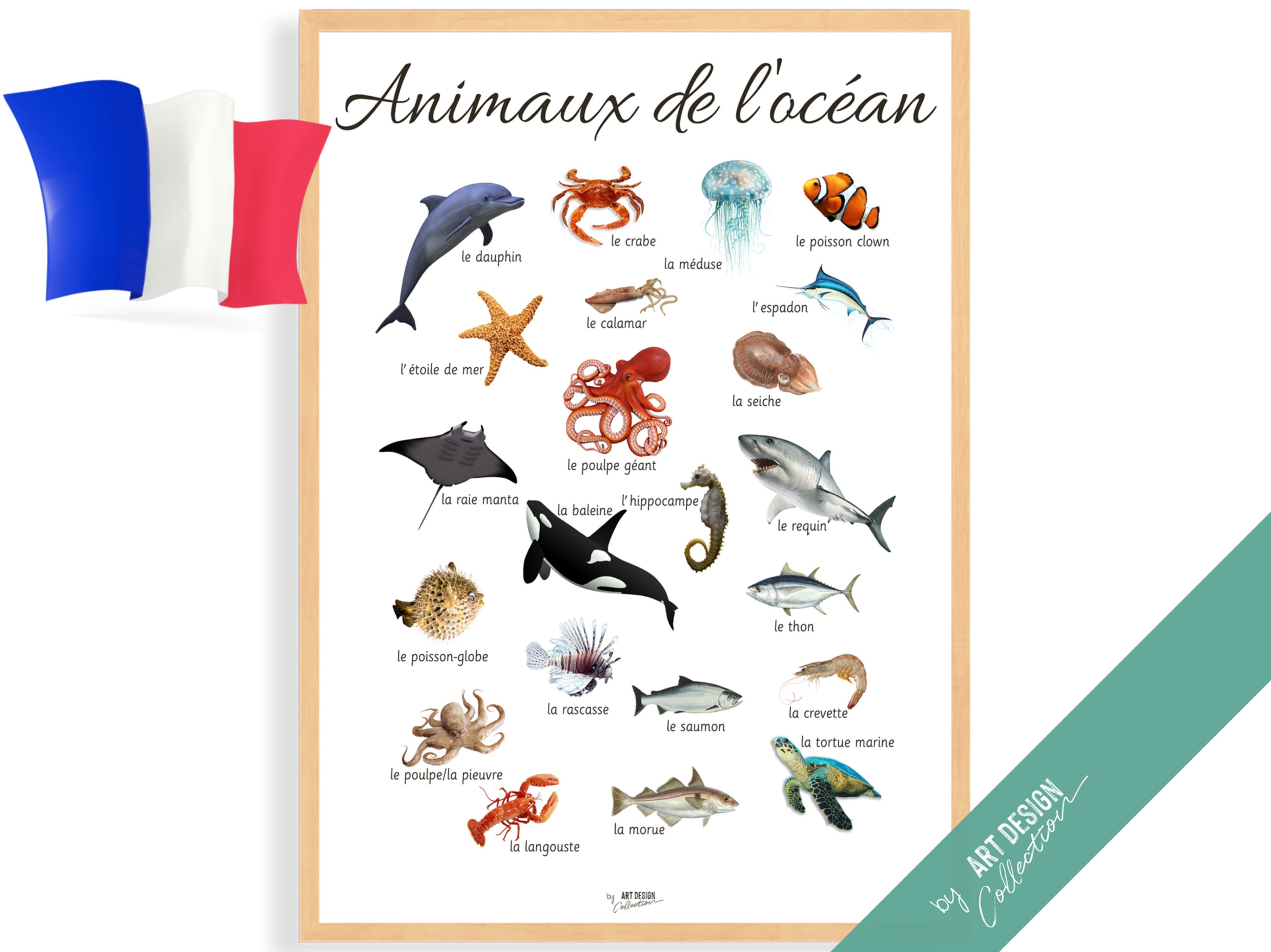 OCEAN ANIMALS POSTER French Edition • Montessori Poster • Educational Homeschooling Learning Kids Nursery Room Toys preschool