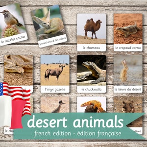 DESERT ANIMALS FRENCH Edition • 24 French and 24 English Editable Montessori Cards • Flash Cards  Nomenclature Pdf Printable Toys preschool