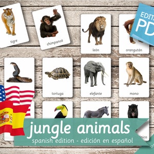 JUNGLE ANIMALS SPANISH Edition • 22 Spanish and 22 English Editable Montessori Cards Flash Cards Nomenclature Cards preschool Pdf Printable