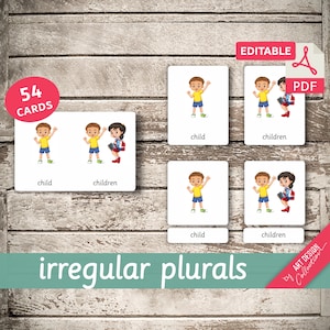 IRREGULAR PLURALS • 54 Montessori Cards • Flash Cards  Nomenclature FlashCards  Editable Pdf Printable Cards preschool
