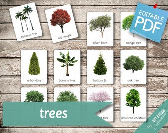 TREES (real pictures) • 32 Editable Montessori Cards • Flash Cards  Nomenclature FlashCards  Editable Pdf Printable Cards preschool