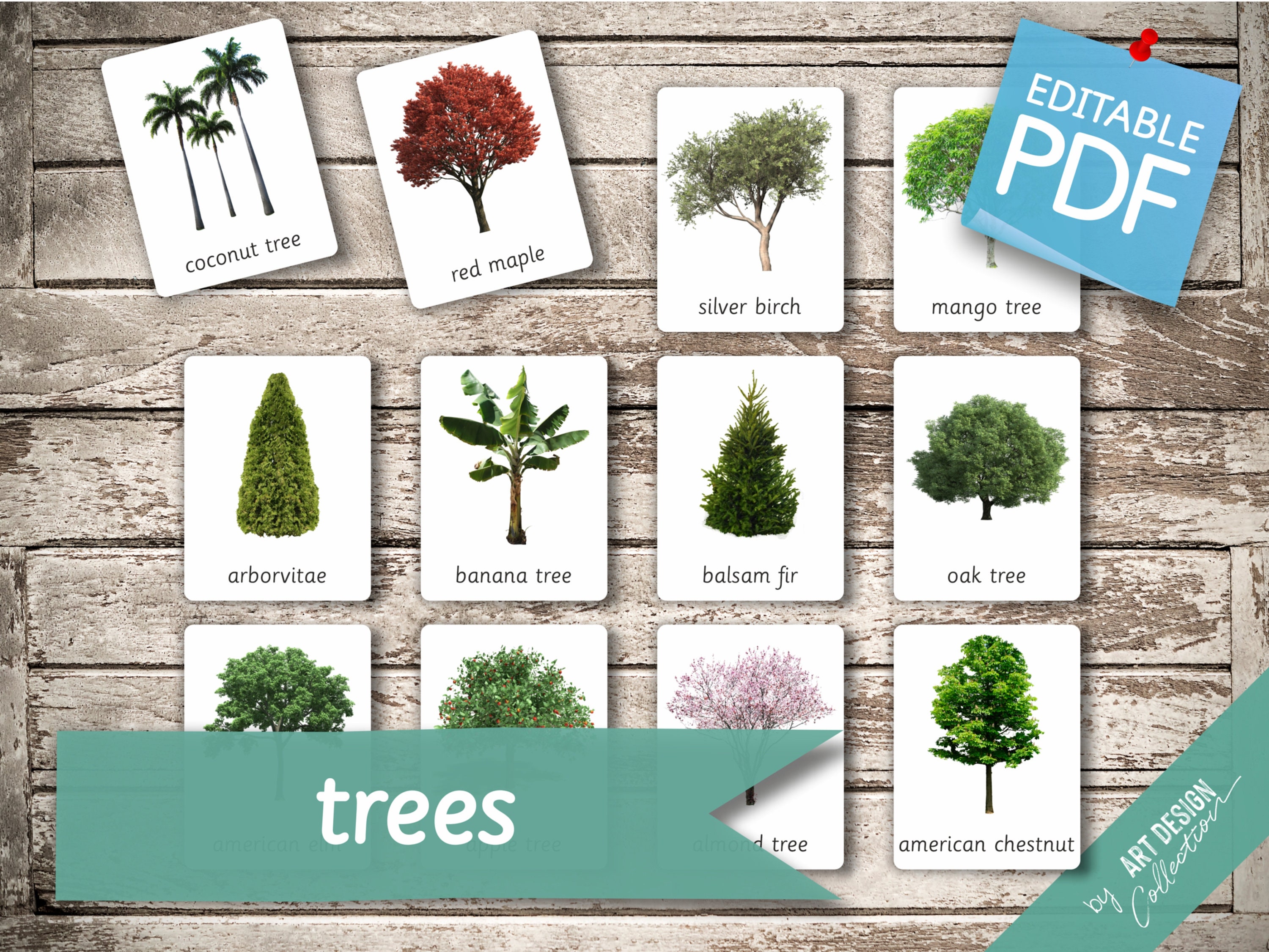 Different Types Of Trees With Pictures And Names