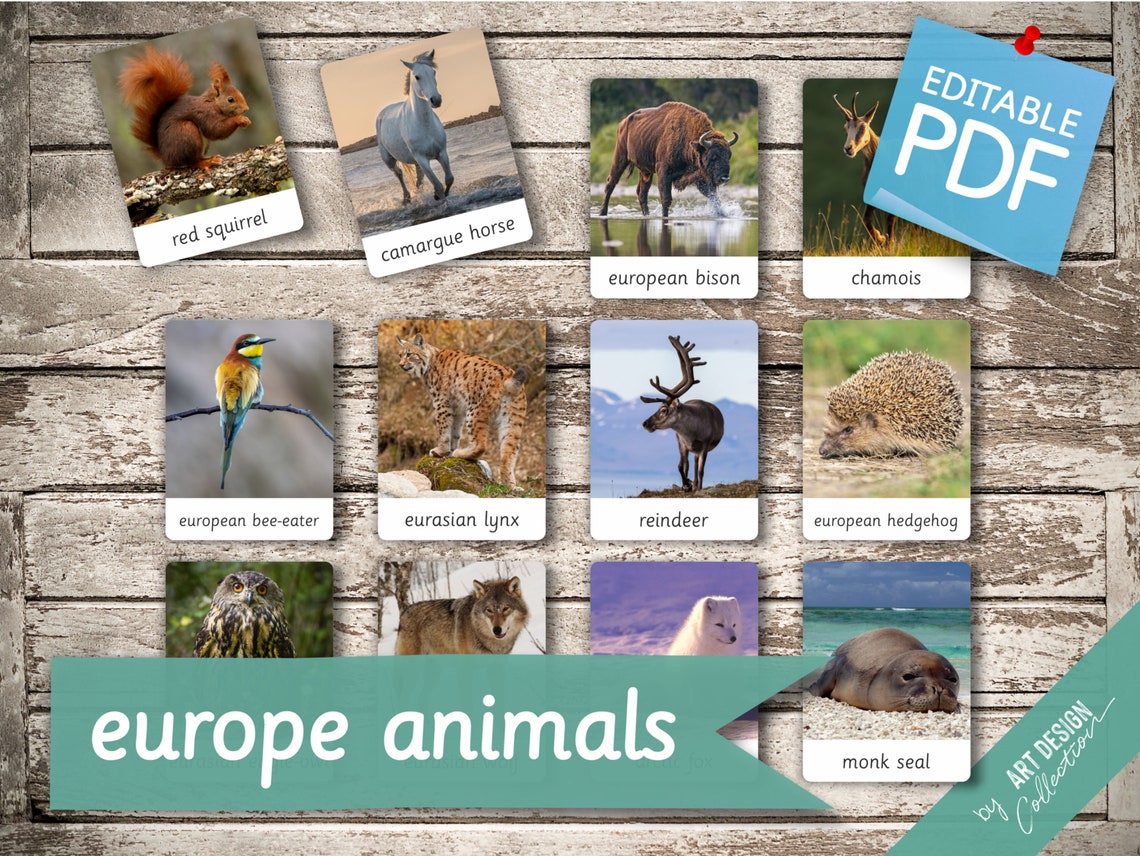 EUROPE ANIMALS • 28 Editable Montessori Cards • Flash Cards ...