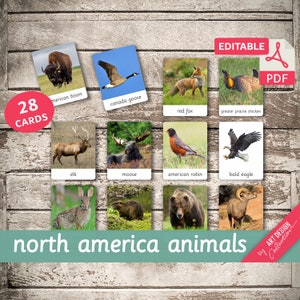 NORTH AMERICA ANIMALS • 28 Editable Montessori Cards • Flash Cards Nomenclature FlashCards Pdf Printable Cards Montessori Toys preschool