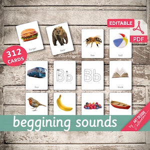BEGGINIG SOUNDS • 312 Editable Montessori Cards • Flash Cards  Nomenclature FlashCards PDF Printable Cards Preschool Toys Flashcard Alphabet
