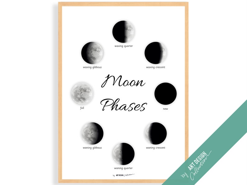 MOON PHASES Montessori Poster Montessori Educational Homeschooling Learning Poster Kids Nursery Room preschool image 1