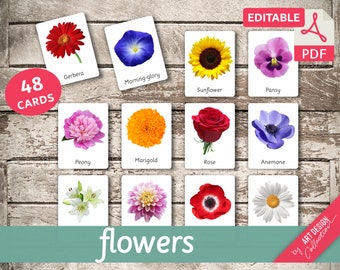 FLOWERS (real pictures) • 48 Editable Montessori Cards • Flash Cards Nomenclature Cards Pdf Printable Cards Montessori Toys preschool botany