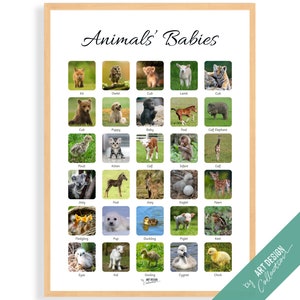 ANIMALS' BABIES POSTER • Montessori Poster • Montessori Educational Homeschooling Learning Poster Kids Nursery Room preschool