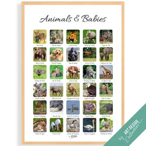 ANIMALS & BABIES POSTER • Montessori Poster • Montessori Educational Homeschooling Learning Poster Kids Nursery Room preschool