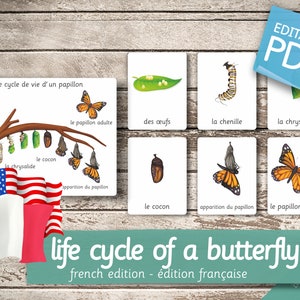 LIFE CYCLE of a BUTTERFLY French Edition • 7 French and 7 English Editable Montessori Cards Flash Cards Nomenclature Pdf Printable preschool