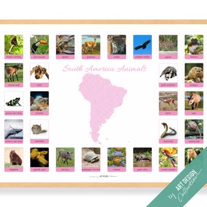 SÜDAMERIKA TIERE Poster • Montessori Poster • Montessori Homeschooling Lernposter Kinderzimmer Vorschule
