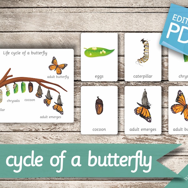 LIFE CYCLE of a BUTTERFLY • 7 Montessori Cards • Flash Cards  Nomenclature FlashCards  Editable Pdf Printable Cards preschool