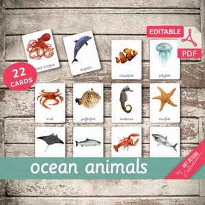 OCEAN ANIMALS 22 Montessori Cards Flash Cards Nomenclature FlashCards Editable Pdf Printable Cards preschool zdjęcie 1