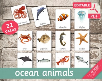 OCEAN ANIMALS • 22 Montessori Cards • Flash Cards  Nomenclature FlashCards  Editable Pdf Printable Cards preschool
