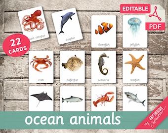 OCEAN ANIMALS • 22 Montessori Cards • Flash Cards  Nomenclature FlashCards  Editable Pdf Printable Cards preschool