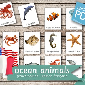 OCEAN ANIMALS FRENCH Edition • 22 French and 22 English Editable Montessori Cards • Flash Cards Nomenclature Pdf Printable Cards preschool