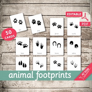 ANIMAL FOOTPRINTS • 50 Montessori Cards • Flash Cards  Nomenclature FlashCards  Editable Pdf Printable Cards preschool
