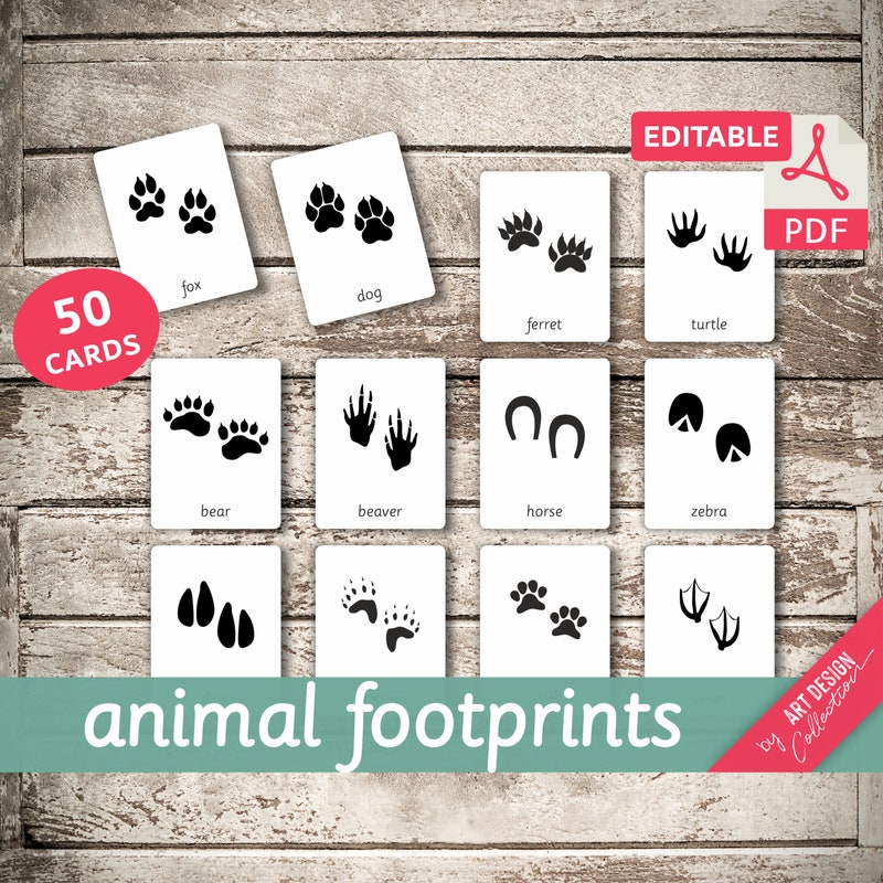 Animal Footprints - Etsy