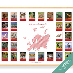 Póster ANIMALES DE EUROPA • Póster Montessori • Póster educativo Montessori para el aprendizaje en el hogar, guardería, preescolar