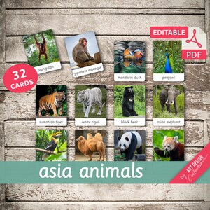 ASIA ANIMALS • 32 Editable Montessori Cards • Flash Cards Nomenclature FlashCards Pdf Printable Cards Montessori Toys preschool