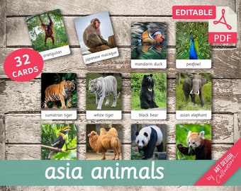 ASIA ANIMALS • 32 Editable Montessori Cards • Flash Cards Nomenclature FlashCards Pdf Printable Cards Montessori Toys preschool