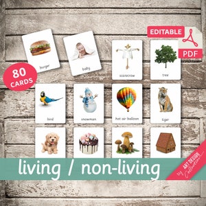 LIVING / non-LIVING • 80 Editable Montessori Cards • Flash Cards Nomenclature FlashCards Pdf Printable Cards Montessori Toys preschool