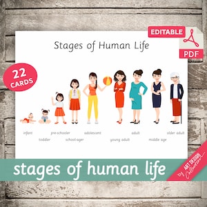 ETAPAS DE LA VIDA HUMANA • 22 Tarjetas Montessori • Tarjetas didácticas Nomenclatura Tarjetas didácticas PDF editables Tarjetas imprimibles preescolar