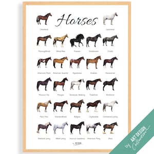 CARTEL DE CABALLOS • Póster Montessori • Póster de aprendizaje educativo Montessori para la educación en el hogar, guardería para niños, preescolar, razas de caballos