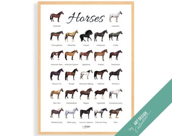 HORSES POSTER • Montessori Poster • Montessori Educational Homeschooling Learning Poster Kids Nursery Room preschool Horse breeds