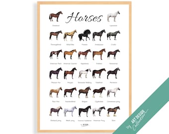 HORSES POSTER • Montessori Poster • Montessori Educational Homeschooling Learning Poster Kids Nursery Room preschool Horse breeds
