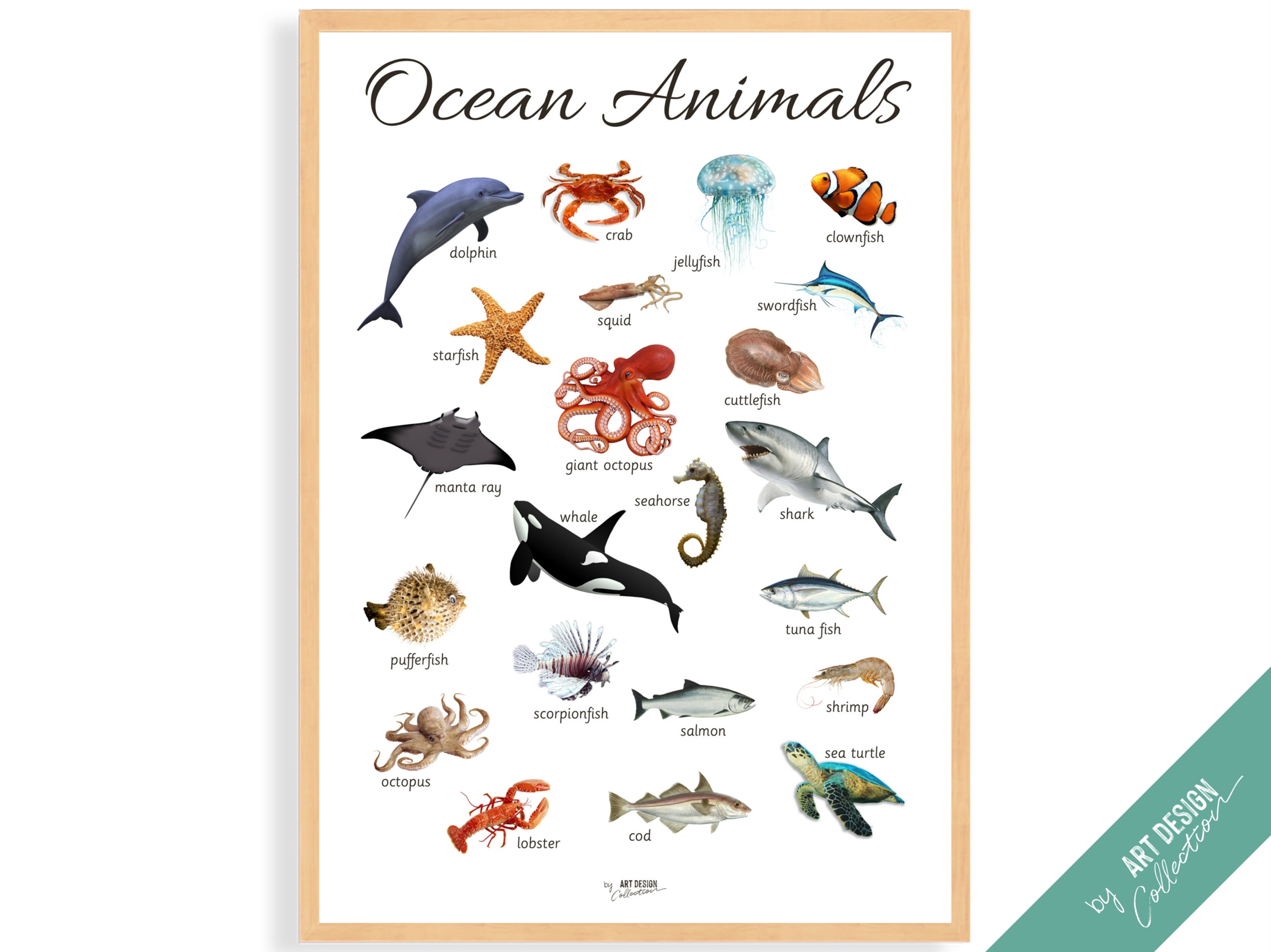 OCEAN ANIMALS POSTER Montessori Poster Montessori - Etsy Singapore