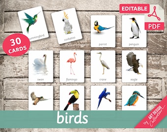 May include: A set of 30 printable flashcards featuring different types of birds. Each card has a colorful illustration of a bird and its name written below. The names include hummingbird, cockatoo, parrot, penguin, swan, flamingo, crane, eagle, duck, toucan, macaw, and kingfisher.