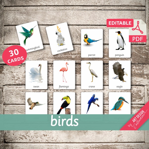 BIRDS (real pictures) • 30 Montessori Cards • Flash Cards  Nomenclature FlashCards  Editable PDF Printable Cards preschool