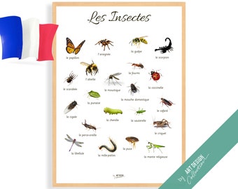 INSECTS POSTER French Edition • Montessori Poster • Educational Homeschooling Learning Kids Nursery Room Toys preschool