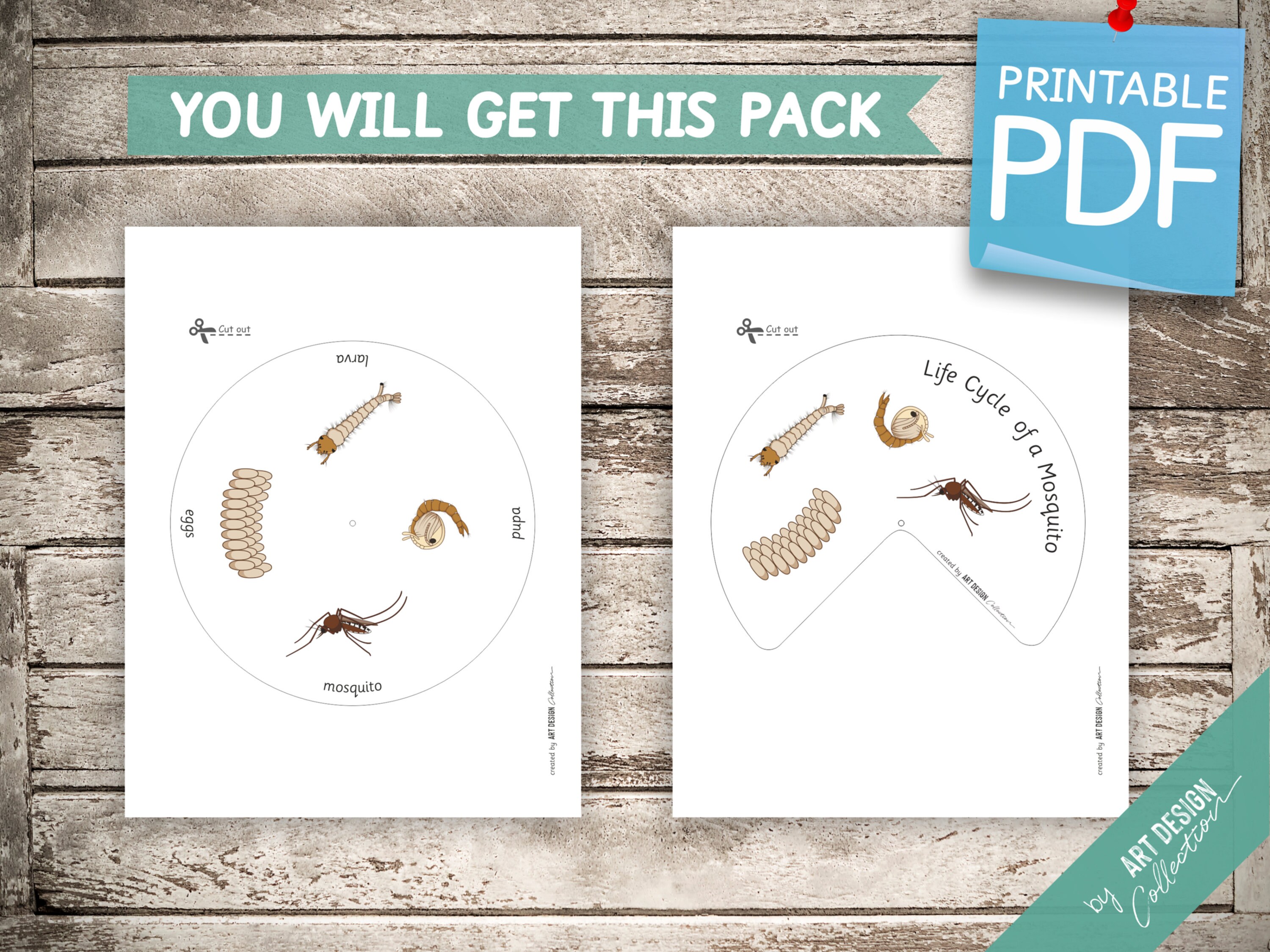LIFE CYCLE of a MOSQUITO Wheel • Montessori Busy Book Activity ...