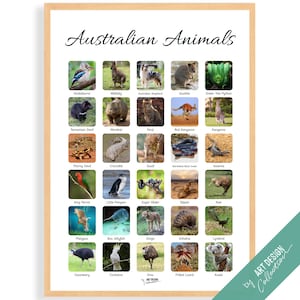 AUSTRALIAN ANIMALS POSTER • Montessori Poster • Montessori Educational Homeschooling Learning Poster Kids Nursery Room preschool