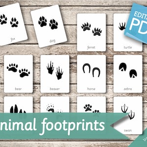 ANIMAL FOOTPRINTS • 50 Montessori Cards • Flash Cards Nomenclature ...