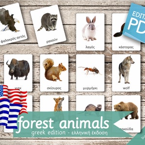 FOREST ANIMALS (real pictures) GREEK Edition • 22 Greek and 22 English Editable Montessori Flash Cards Nomenclature preschool Pdf Printable