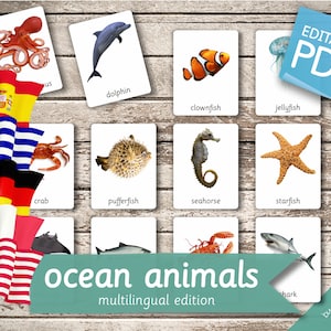 OCEAN ANIMALS MULTILINGUAL Edition • 22 English, French, German, Greek, and Spanish Editable Montessori Cards • Nomenclature Cards preschool