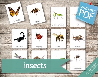 insect printables etsy