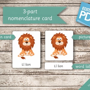 INDOOR ACTION VERBS 20 Editable Montessori Cards Flash Cards Nomenclature FlashCards Editable Pdf Printable Cards preschool image 7