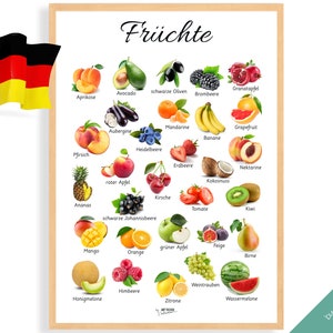 POSTER FRÜCHTE • Montessori Poster • Montessori Homeschooling Lernposter für das Kinderzimmer Vorschule