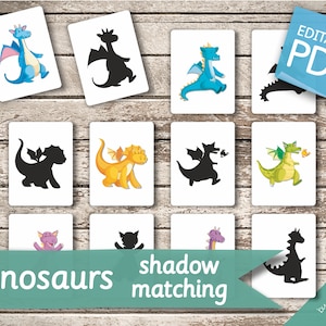 DINOSAURS SHADOW MATCHING Cards • 60 Montessori Cards • Flash Cards  Nomenclature FlashCards Pdf Printable Cards preschool