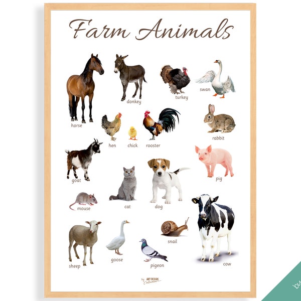 FARM ANIMALS POSTER • Montessori Poster • Montessori Educational Homeschooling Learning Poster Kids Nursery Room preschool