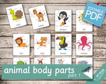 ANIMAL BODY PARTS (part 1) • 104 Editable Montessori Cards • Flash Cards Nomenclature FlashCards Pdf Printable Cards preschool Toys