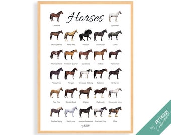 HORSES POSTER • Montessori Poster • Montessori Educational Homeschooling Learning Poster Kids Nursery Room preschool Horse breeds