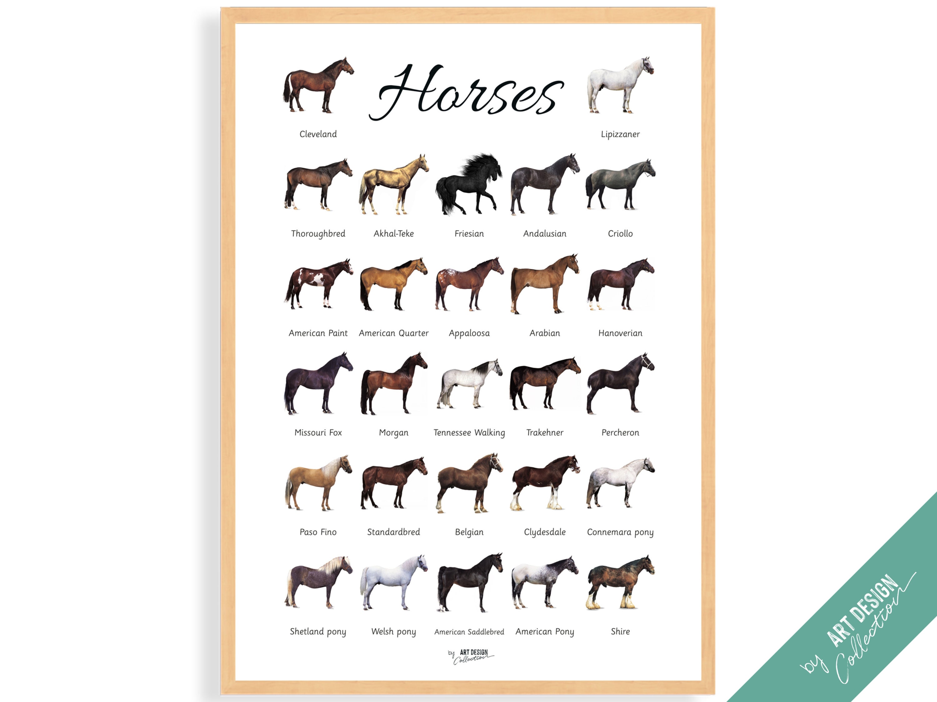 Horse Breeds Poster